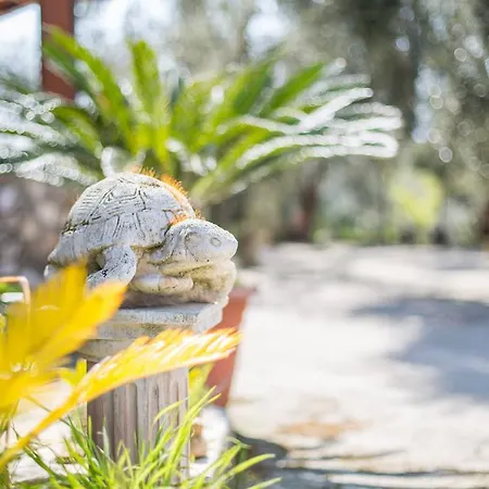 Casa vacanze Calma Vieste