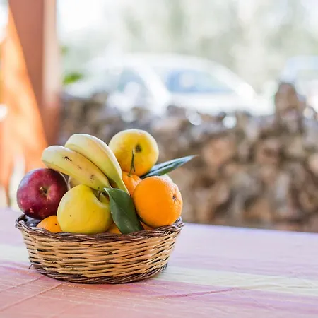 Casa vacanze Calma *