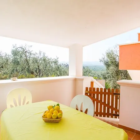 Calma ヴィエステ