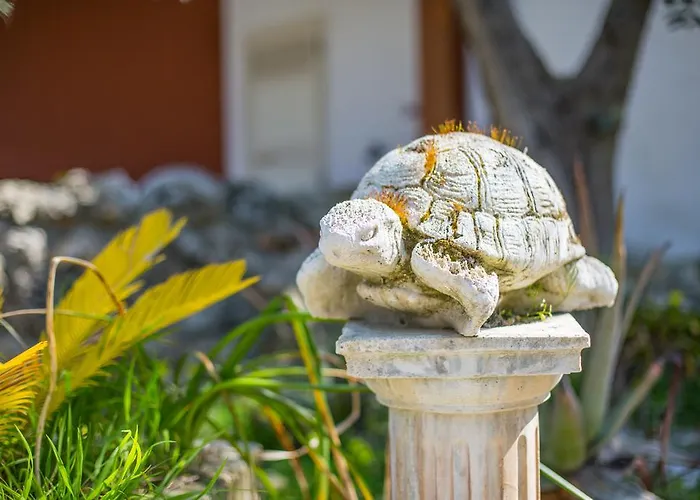 Calma Casa de Férias *